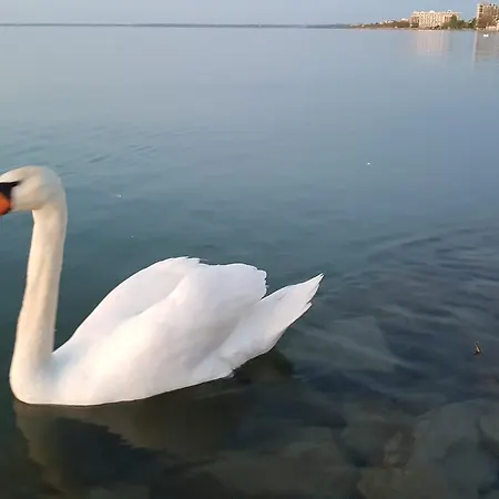 Tuerkiz Wellness Apartment *