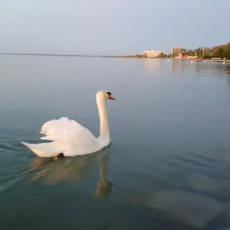 Tuerkiz Wellness Apartment